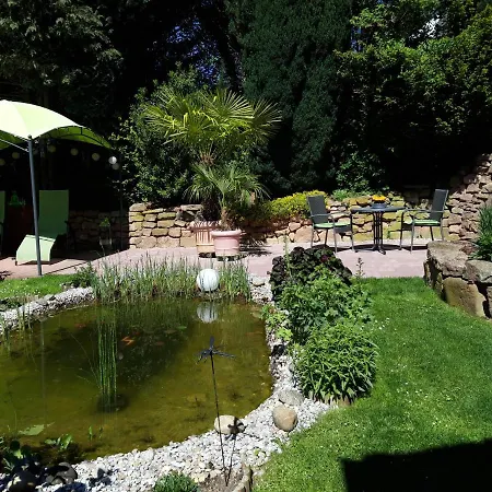 Ferienwohnung Trommblick - Natur Pur - Rimbach Im Odenwald Buitenkant foto