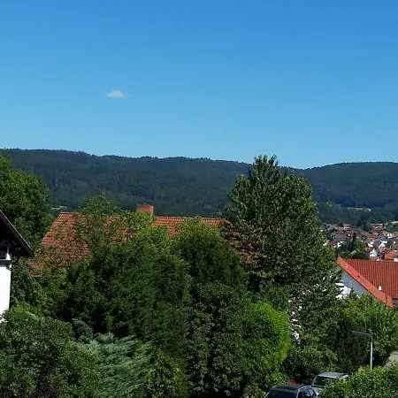 Ferienwohnung Trommblick - Natur Pur - Rimbach Im Odenwald Buitenkant foto