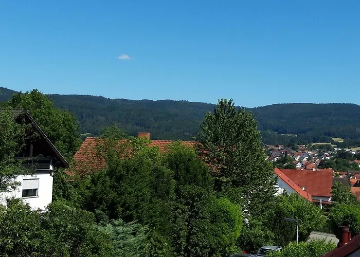Ferienwohnung Trommblick - Natur Pur - Rimbach Im Odenwald